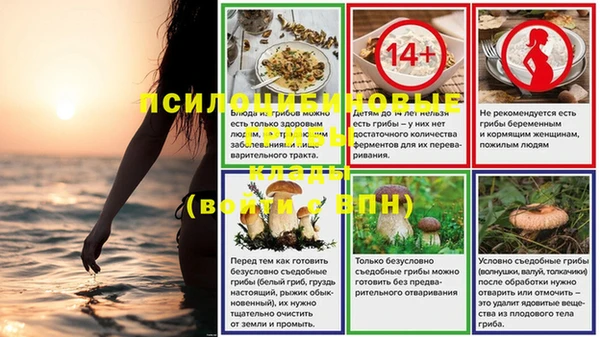 винт Заводоуковск