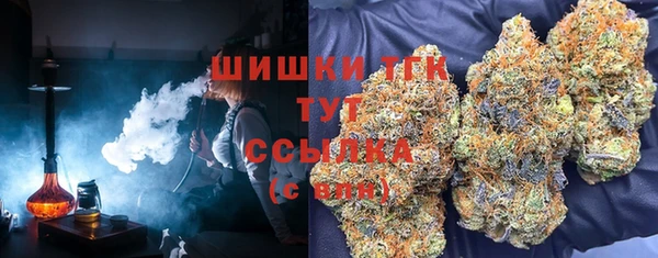 мяу мяу мука Надым